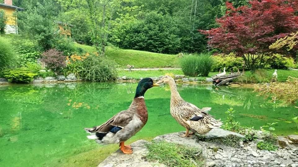 Lepa Lopa Resort Stahovica ภายนอก รูปภาพ